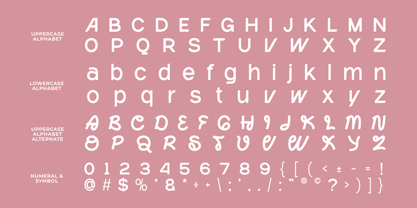 Ovaline Font Poster 9