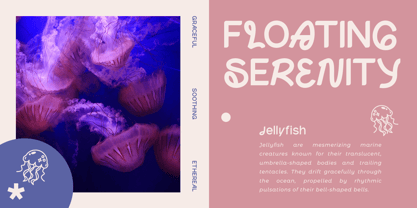 Ovaline Font Poster 3