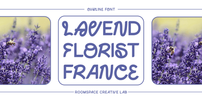 Ovaline Font Poster 6