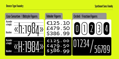 DT Synthaxel Sans Font Poster 11