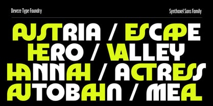 DT Synthaxel Sans Font Poster 14