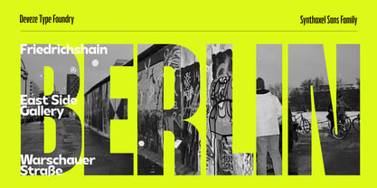 DT Synthaxel Sans Font Poster 6
