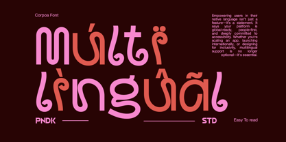 Hayko Font Poster 7
