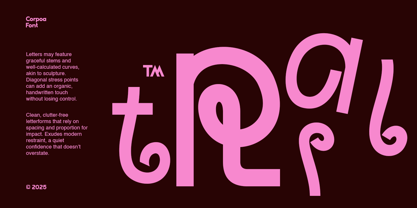 Hayko Font Poster 2