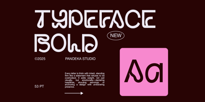 Hayko Font Poster 5