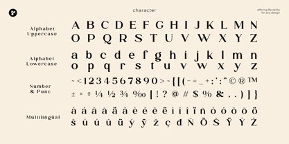 Raffin Font Poster 11