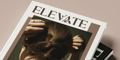 Raffin Font Poster 2