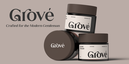 Raffin Font Poster 8