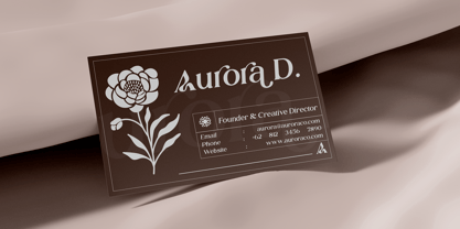 Raffin Font Poster 9