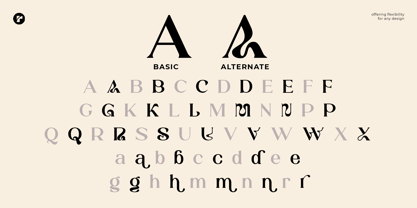 Raffin Font Poster 12