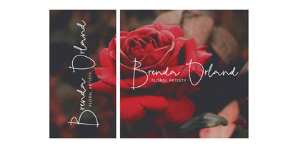 Rumble Honey Signature Font Poster 4