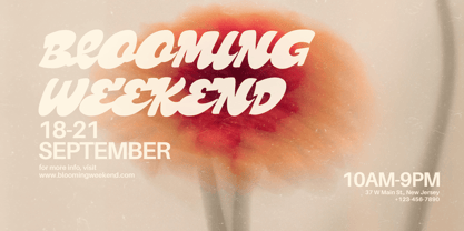 Chicoe Font Poster 3