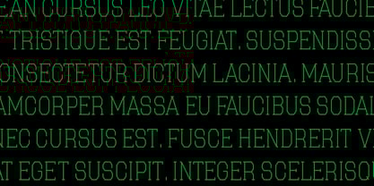 College Font Poster 3