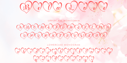 Bela Love Font Poster 5