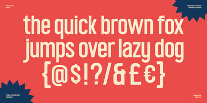 GC Thype Font Poster 2
