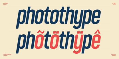 GC Thype Font Poster 14