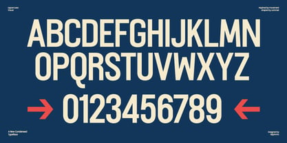 GC Thype Font Poster 3