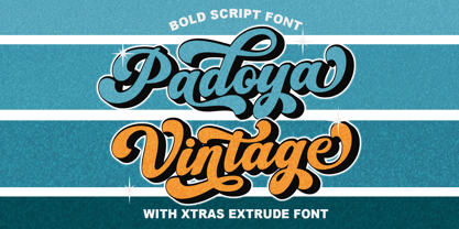 Padoya Vintage Font Poster 1