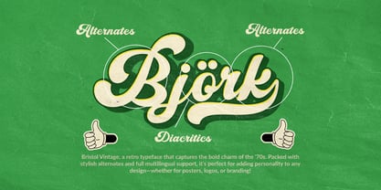 Padoya Vintage Font Poster 11