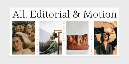 DP Alestalgia Font Poster 2