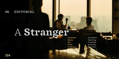 DP Alestalgia Font Poster 8