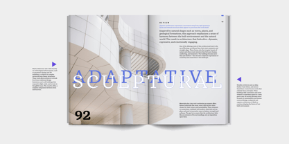 DP Alestalgia Font Poster 11