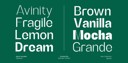 Zn Alerio Variable Font Poster 9