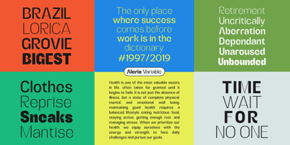 Zn Alerio Variable Font Poster 11