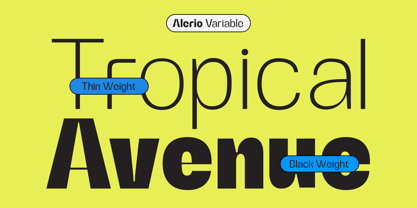 Zn Alerio Variable Font Poster 8