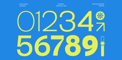 Zn Alerio Variable Font Poster 13