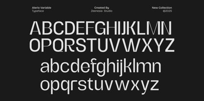 Zn Alerio Variable Font Poster 12