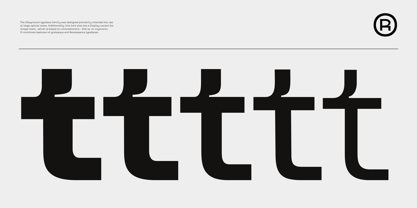 Oksymoron Grotesk Font Poster 2