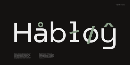 Oksymoron Grotesk Font Poster 5
