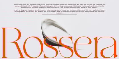 Rocen VF Font Poster 6