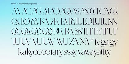 Rocen VF Font Poster 7