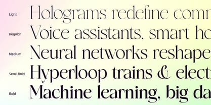 Rocen VF Font Poster 13