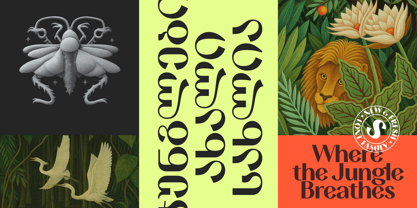 TA Solivare Font Poster 2