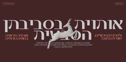 TA Solivare Font Poster 5