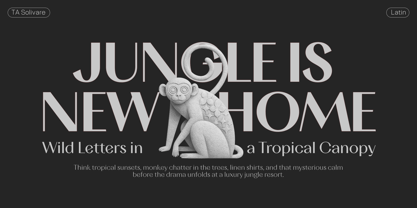 TA Solivare Font Poster 10