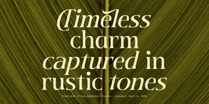 Twilight Vintage Font Poster 12