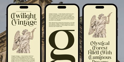 Twilight Vintage Font Poster 9