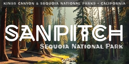 Sanpitch Font Poster 5