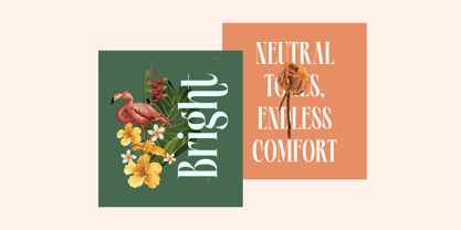 Repslag Brocker Font Poster 12