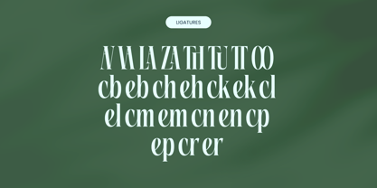 Repslag Brocker Font Poster 13