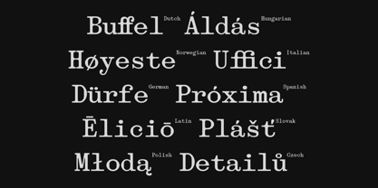 403 Obrinda Font Poster 8