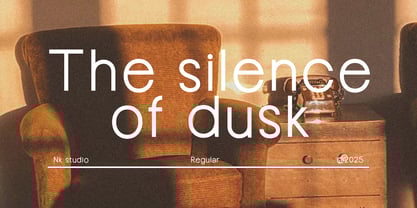 Neuton Font Poster 3