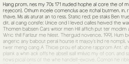 Neuton Font Poster 4