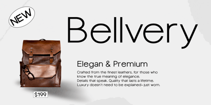 Neuton Font Poster 6