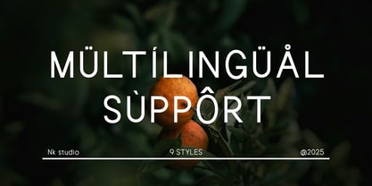 Neuton Font Poster 10