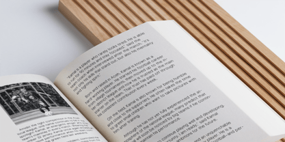 Neuton Font Poster 7